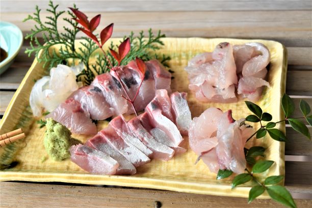 伊根のとれたて旬の地魚刺身作り体験 伊根町観光協会