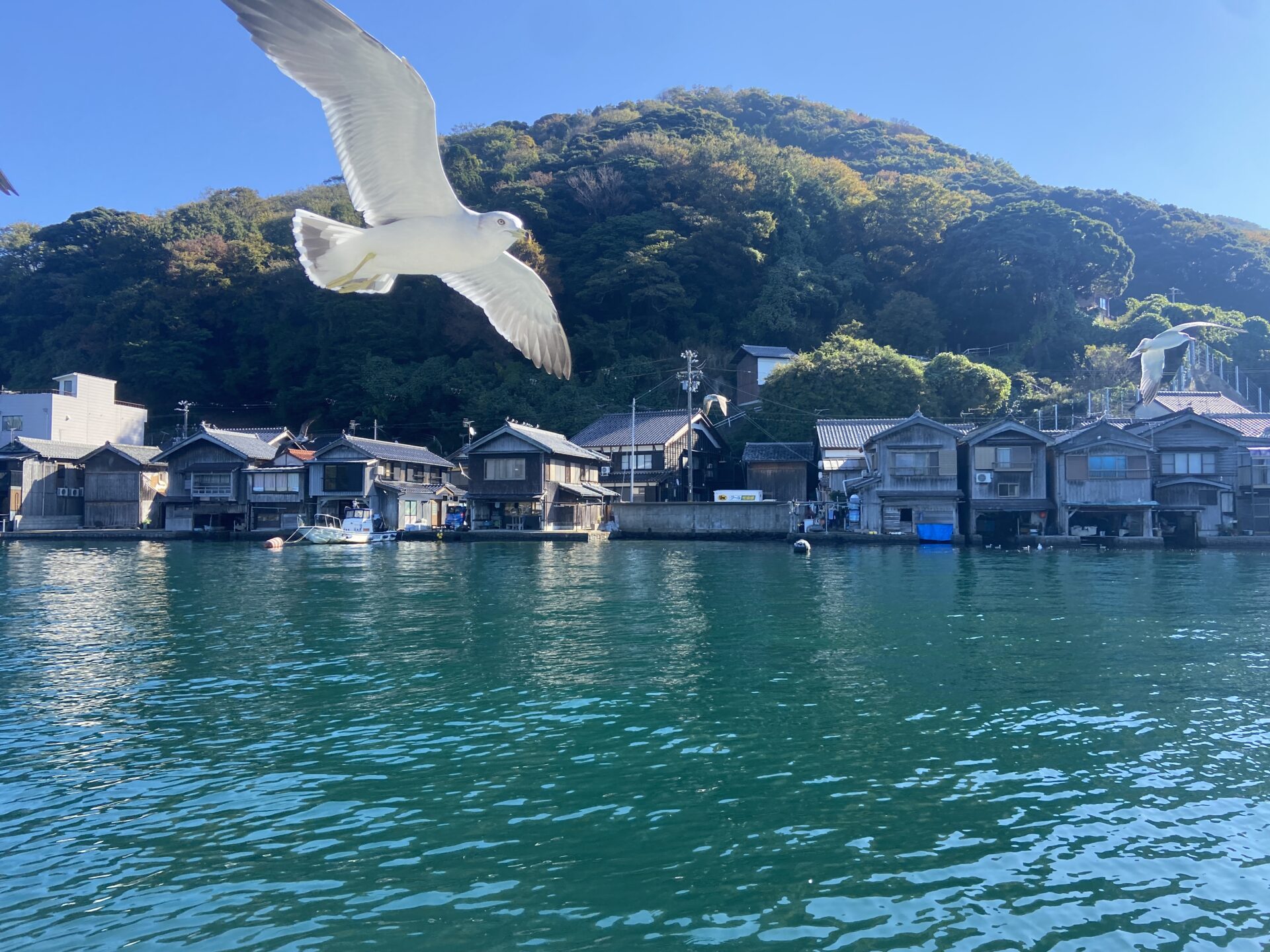 (1組限定) 海と舟屋の絶景散歩＆クルージング – 伊根の魅力満喫ツアー | 伊根町観光協会