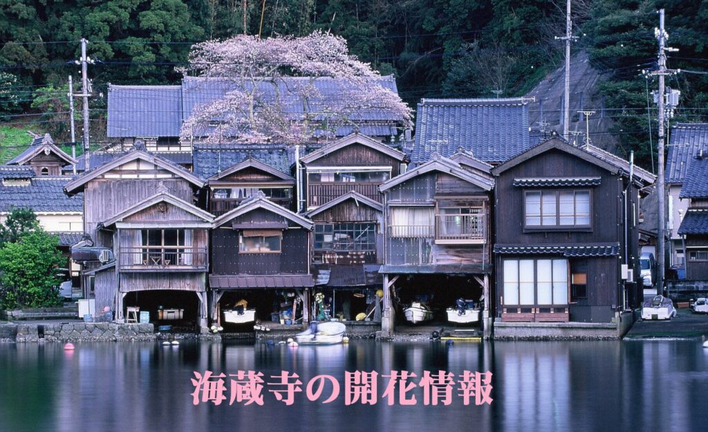 伊根町観光協会 | 海の京都・舟屋の里 伊根町の良いとこをお届け